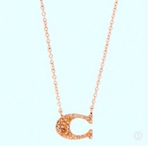 Coach necklace